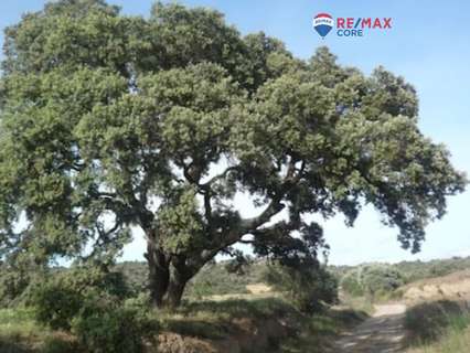 Parcela rústica en venta en La Roca de la Sierra