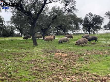Parcela rústica en venta en Alconchel