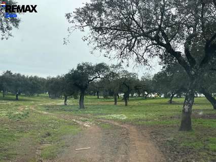 Parcela rústica en venta en Jerez de los Caballeros