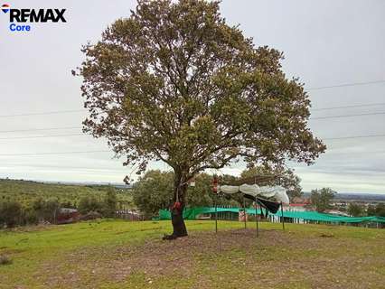 Parcela rústica en venta en Badajoz