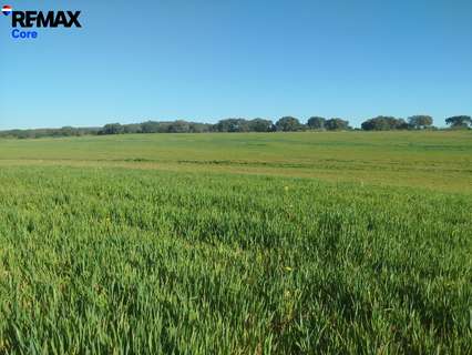 Parcela rústica en venta en Torremayor