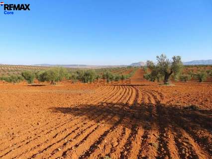Parcela rústica en venta en Alange