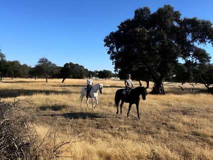 Parcela rústica en venta en Badajoz