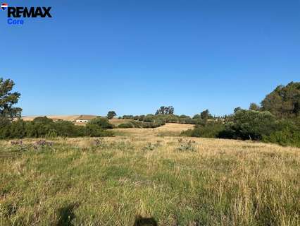 Parcela rústica en venta en Medina-Sidonia