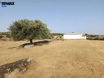 Parcela rústica en venta en Alburquerque