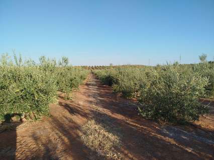 Parcela rústica en venta en Arroyo de San Serván