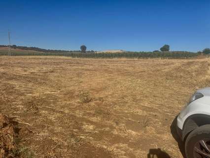 Parcela rústica en venta en Talavera la Real