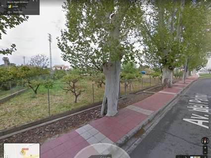 Parcela rústica en venta en Murcia zona El Palmar