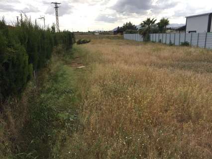 Parcela rústica en venta en Murcia zona Sangonera la Seca