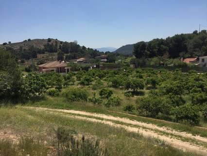 Parcela rústica en venta en Murcia zona El Esparragal