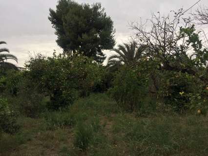 Parcela rústica en venta en Murcia