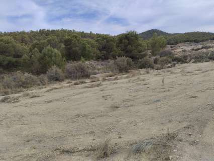 Parcela rústica en venta en Totana