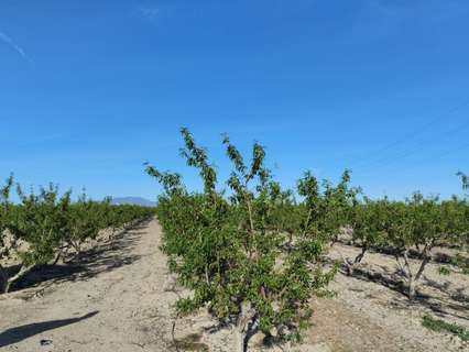 Parcela rústica en venta en Totana