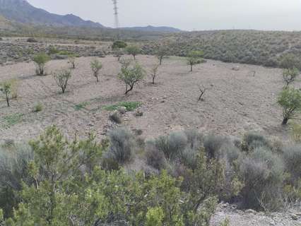 Parcela rústica en venta en Lorca
