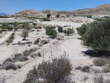Parcela rústica en venta en Molina de Segura