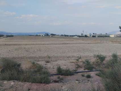 Parcela rústica en venta en Totana