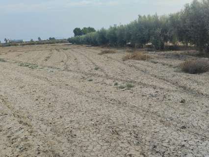 Parcela rústica en venta en Totana