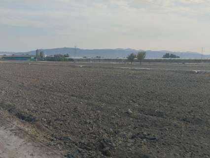 Parcela rústica en venta en Totana