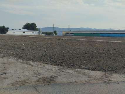 Parcela rústica en venta en Totana