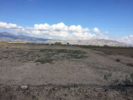 Parcela rústica en venta en Alhama de Murcia