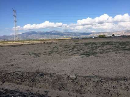 Parcela rústica en venta en Alhama de Murcia