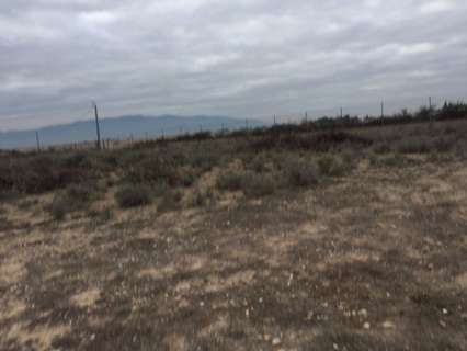 Parcela rústica en venta en Murcia zona Sangonera la Seca