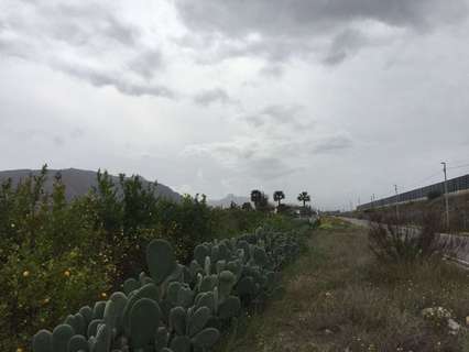 Parcela rústica en venta en Murcia zona Alquerías