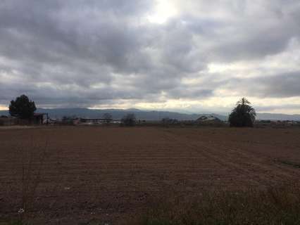 Parcela rústica en venta en Lorca