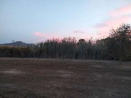 Parcela rústica en venta en Blanca