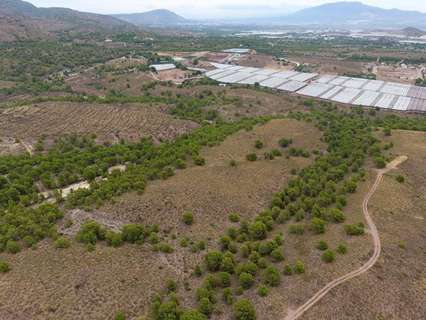 Parcela rústica en venta en Totana