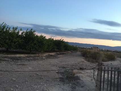 Parcela rústica en venta en Murcia zona Javalí Nuevo