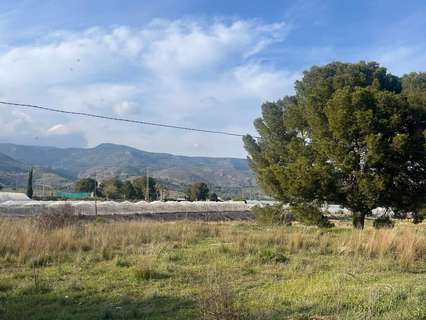 Parcela rústica en venta en Totana