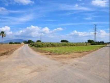 Parcela rústica en venta en Totana