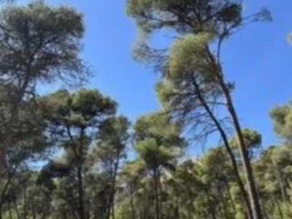 Parcela rústica en venta en Totana