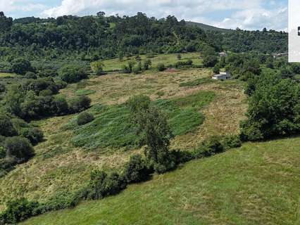 Parcela rústica en venta en Villaviciosa