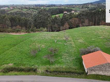 Parcela rústica en venta en Villaviciosa