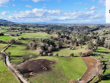 Parcela rústica en venta en Villaviciosa