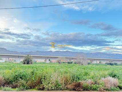 Parcela rústica en venta en Lorca rebajada