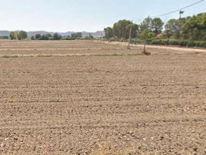 Parcela rústica en venta en Lorca