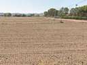 Parcela rústica en venta en Lorca