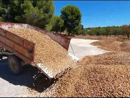 Casa rústica en venta en Yecla