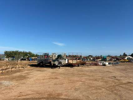 Parcela rústica en venta en Torre-Pacheco rebajada