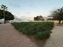Parcela urbana en venta en Los Alcázares