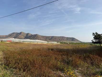 Parcela rústica en venta en Torre-Pacheco