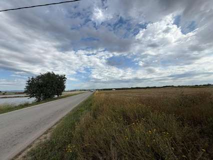 Parcela rústica en venta en Torre-Pacheco zona Roldán