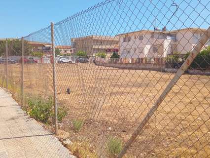 Parcela rústica en venta en Los Alcázares zona Los Narejos