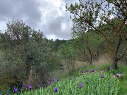 Casa rústica en venta en Torremanzanas