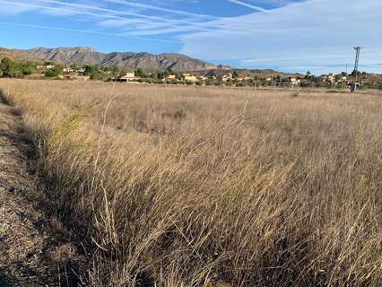 Parcela rústica en venta en Hondón de los Frailes