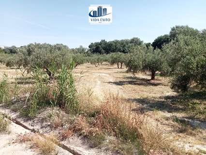 Parcela rústica en venta en Jaén