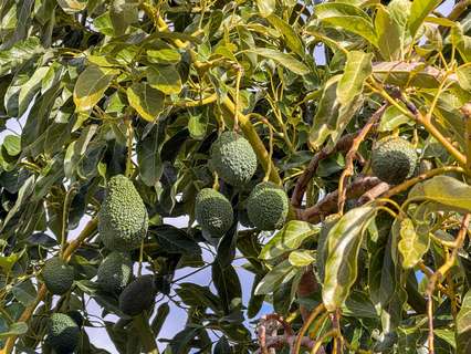 Casa rústica en venta en Los Guajares